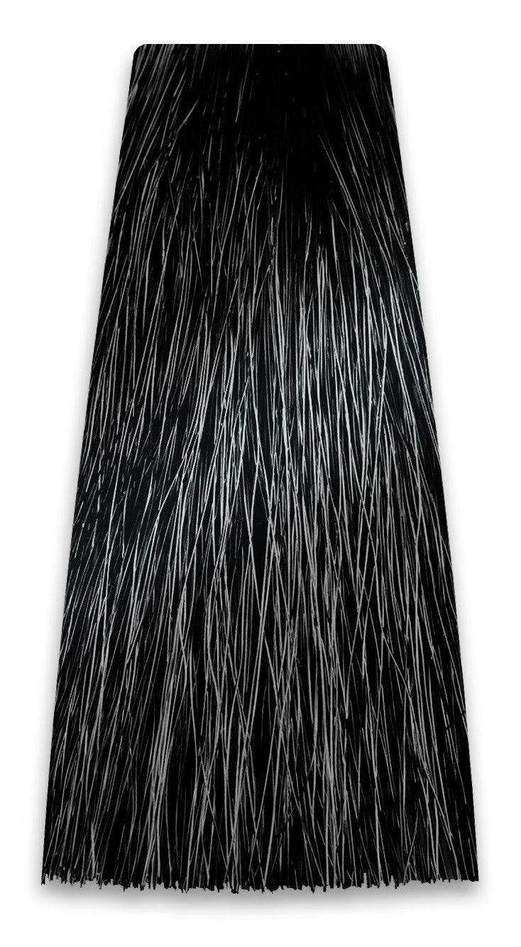 PROSALON PROFESSIONAL Intensis Color Art Professional Hair Dye No. 1.0 Black 100g | Vaistine1.lt | WestPharmacy.eu