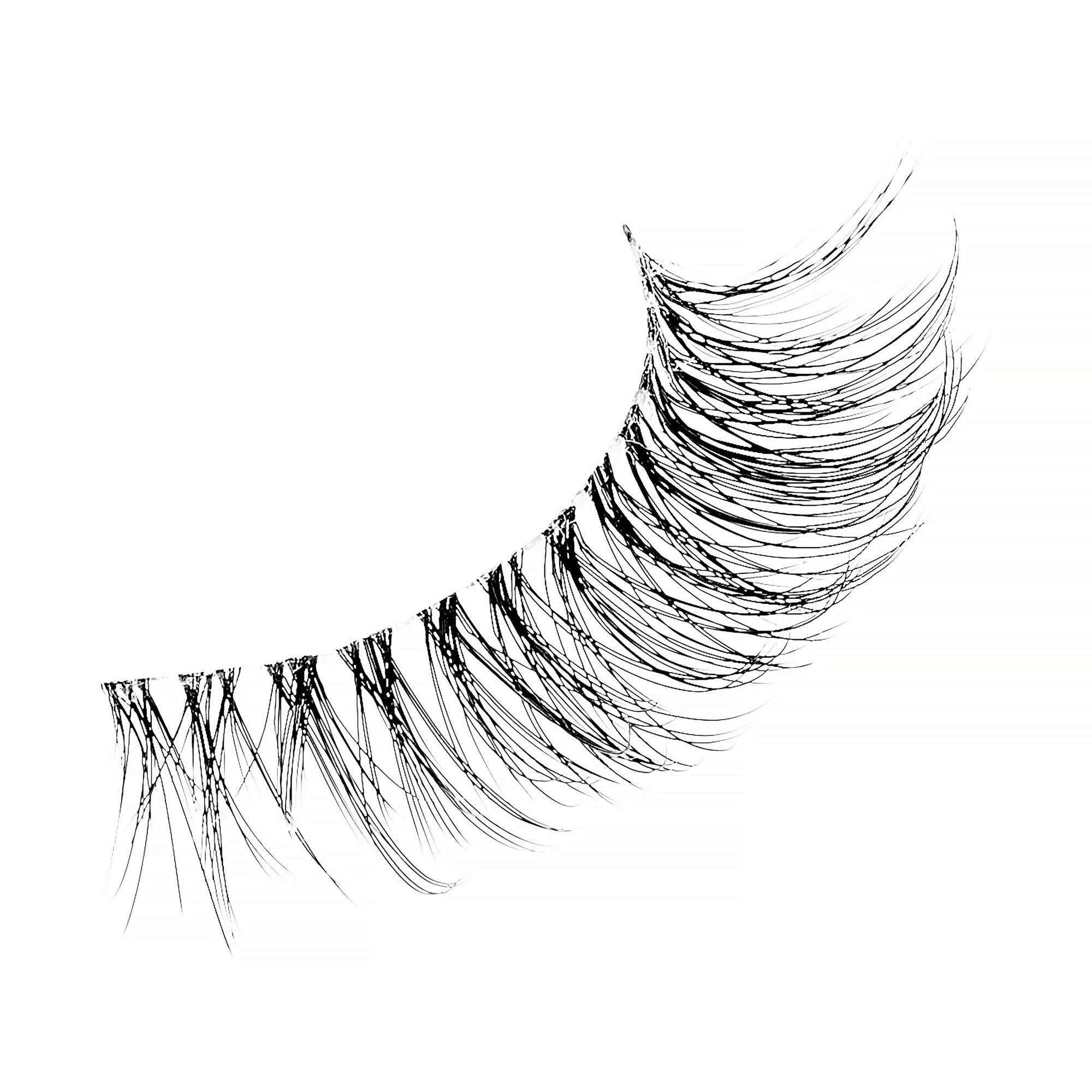 5edf7ecf4c0b66ca95e60acc20fd2e1a