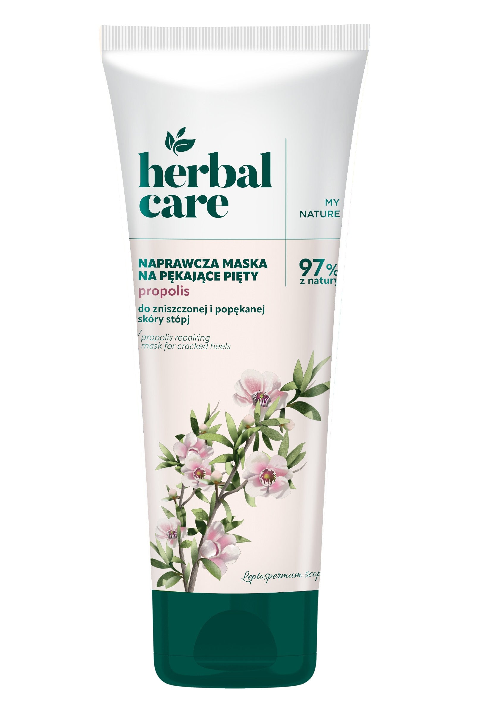 fb9813aaf2e285bc851954111212d539