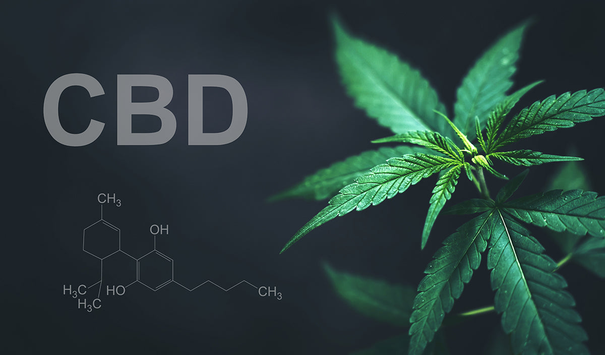 CBD: kas tai ir ką reikia žinoti prieš renkantis