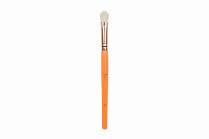 e5a8a43c69827d96fad7b2f419bfbf4c