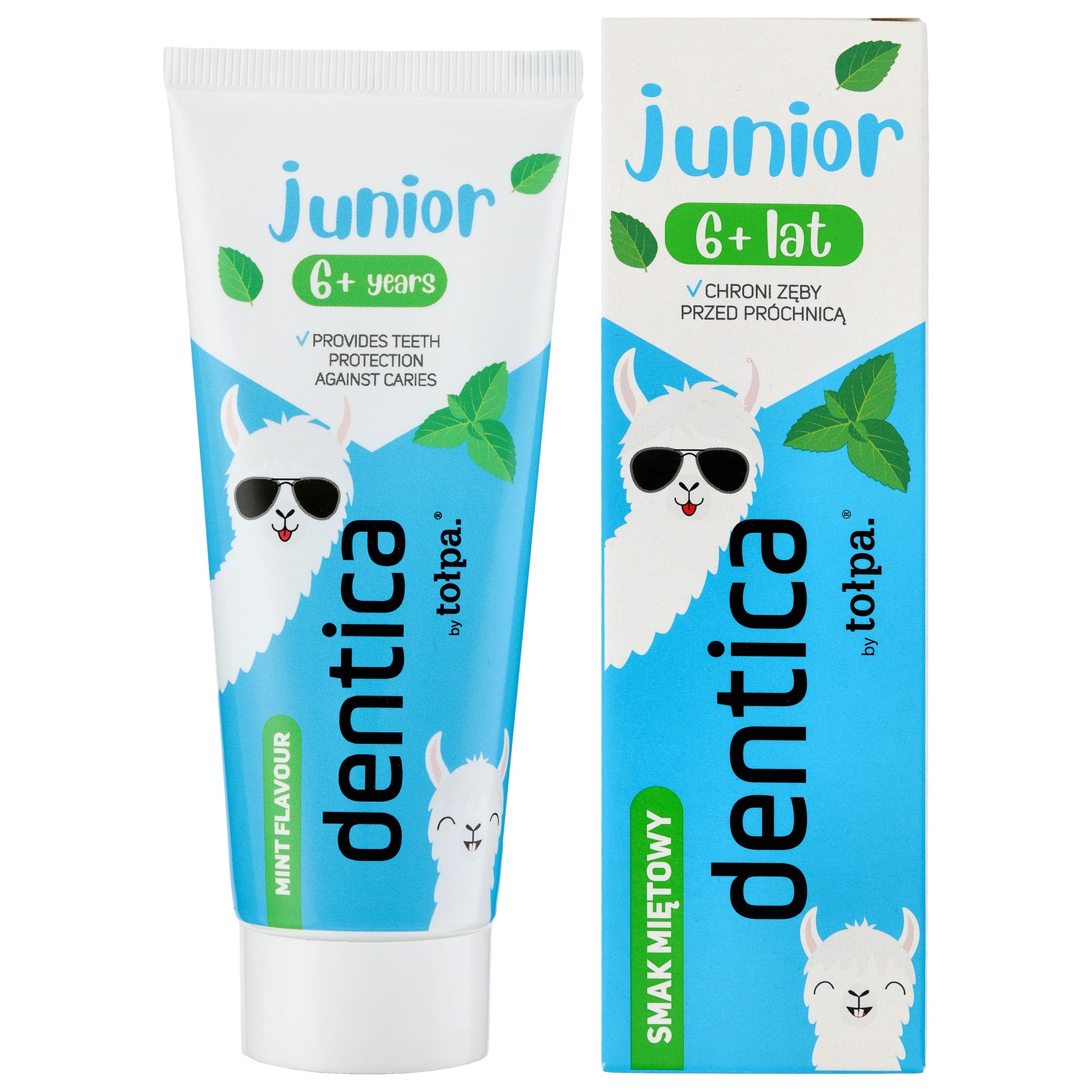 TOŁPA Dentica Junior 6+ Toothpaste for children anti-caries mint 50 ml | Vaistine1.lt