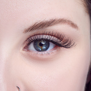 b62288e817a3183f156050869345e828