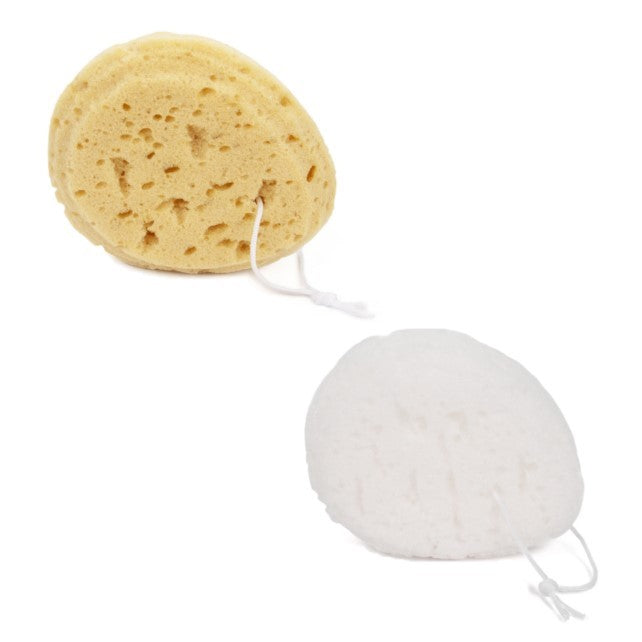 DONEGAL D/WASHING SPONGE oval -6009 | Vaistine1.lt