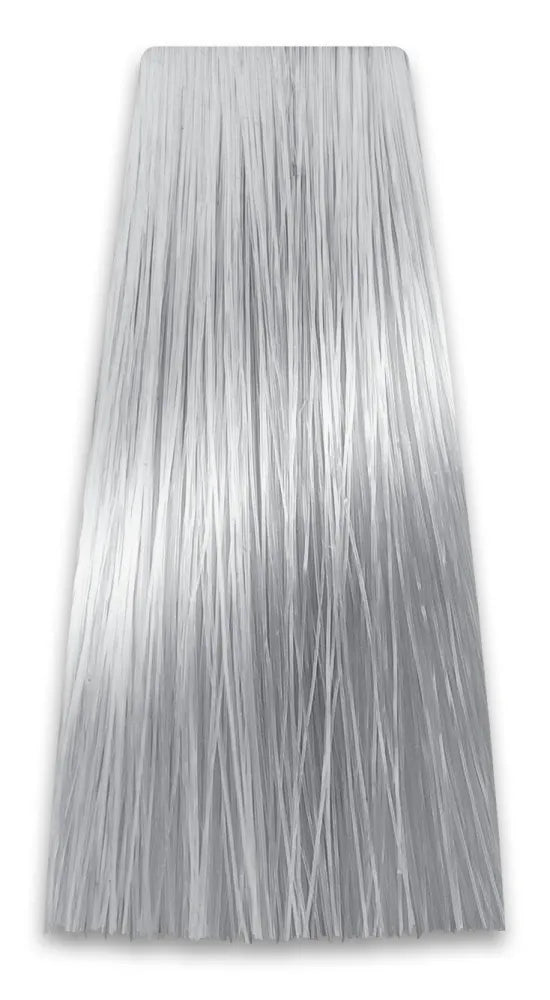 CHANT.PROF 100 g spalva COLORART nr. 10/11 - Kosmetika
