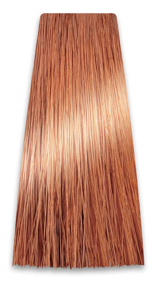CHANT.PROF 100 g spalva COLORART nr. 9/04 - Kosmetika
