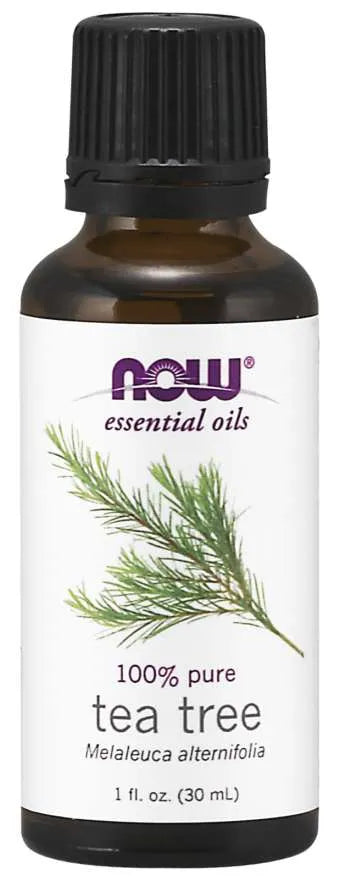 Essential Oil Tea Tree - 30 ml - NOW Foods - Papildai