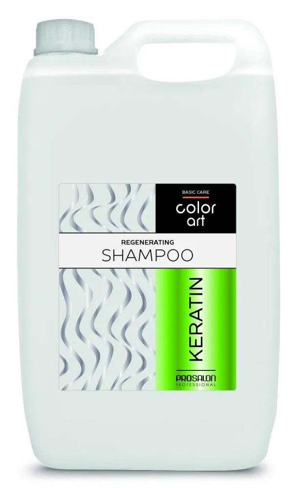 PROSALON PROFESSIONAL Basic Care Color Art Regeneruojantis Plaukų Šampūnas - Keratine 5000ml - Kosmetika