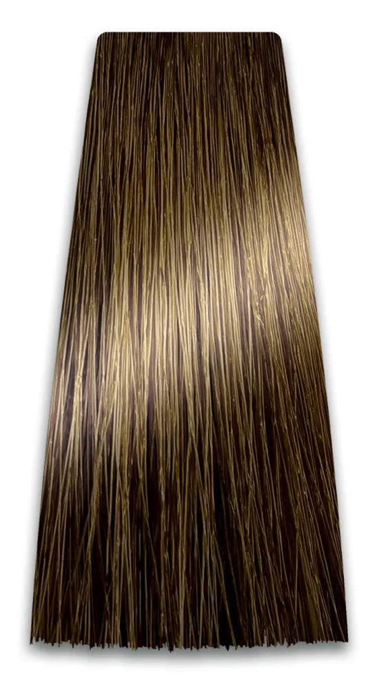 PROSALON PROFESSIONAL Intensis Color Art Profesionalus plaukų dažai Nr. 8.00 Dvigubas vidutinio šviesumo blondinas 100g