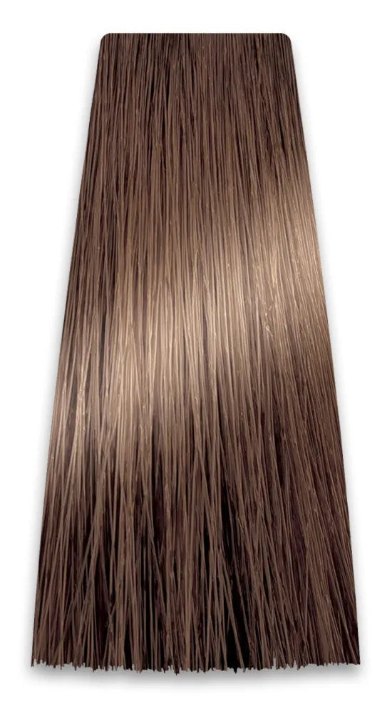 PROSALON PROFESSIONAL Intensis Color Art Profesionalus plaukų dažai Nr. 6.0 Tamsiai šviesūs 100g - Kosmetika